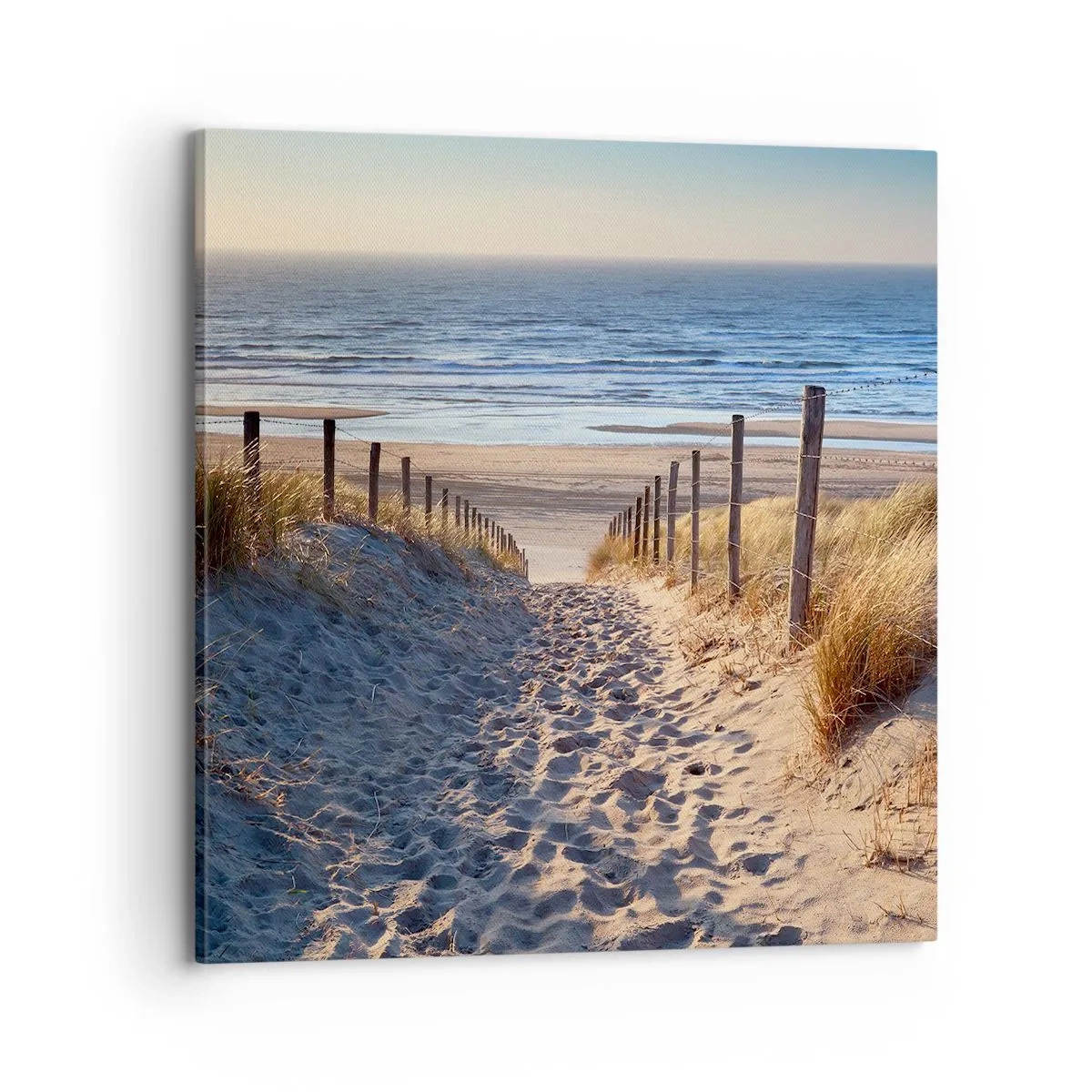 Lærredstryk - Billede på lærred - Havet brummer, fuglene synger, en vild strand midt i græsset.... - 70x70 cm