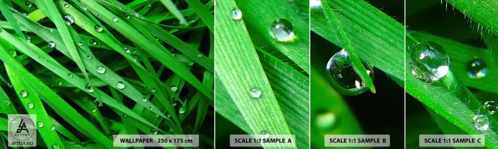 Fototapet Prøve Standard Eco - Spil grønt - Natur, Grønt græs, Have - 100x30 cm