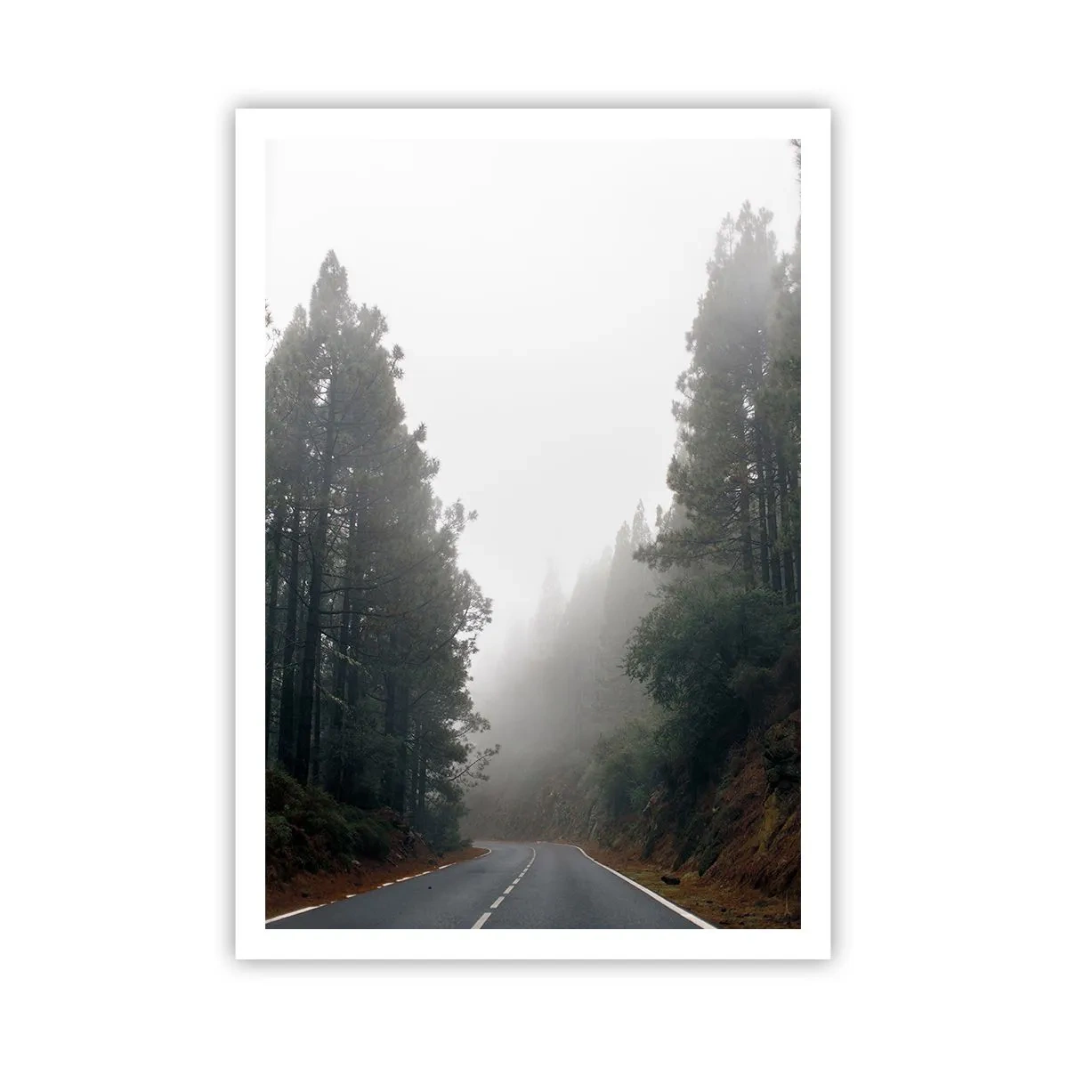 Plakat - En fortælling om en magisk skov - 70x100 cm