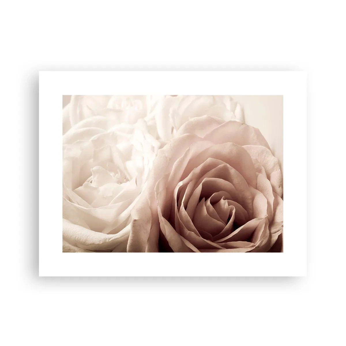 Plakat - I rosens hjerte - 40x30 cm