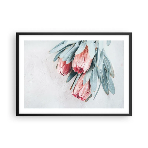 Plakat i sort ramme - Skammer sig over deres egen skønhed - 70x50 cm