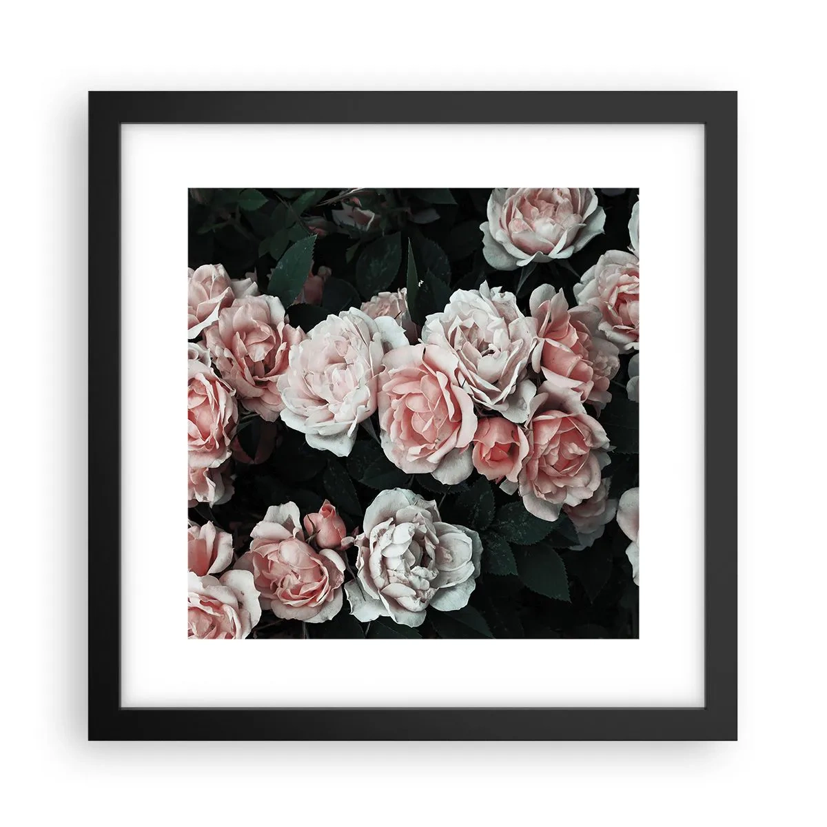 Plakat i sort ramme - Lyserød ansamble - 30x30 cm
