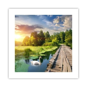 Plakat - Sommer, sommer overalt - 40x40 cm