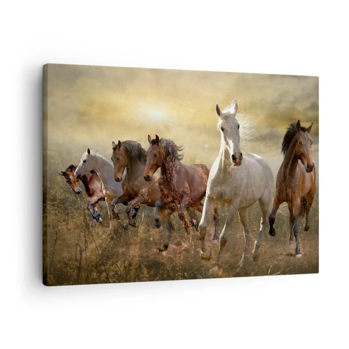 Lærredstryk - Billede på lærred - En gruppe galoperende heste mod baggrunden af den nedgående sol - 70x50cm - Længe leve friheden! - Moderne vægdekoration til stue og soveværelse ARTTOR