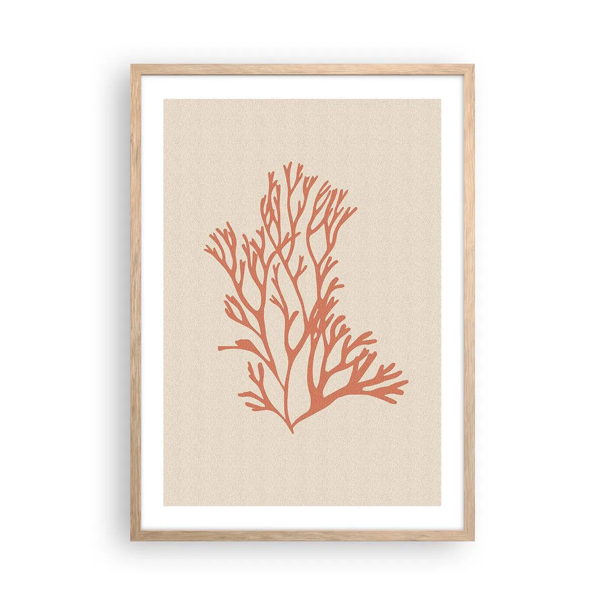 Plakat i ramme af lyst egetræ - Koral filigran - 50x70 cm