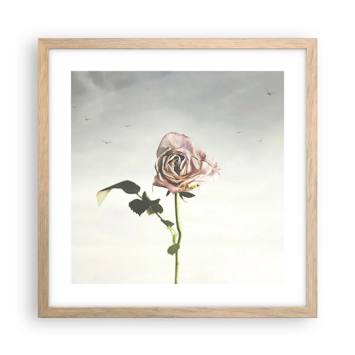 Plakat i ramme af lyst egetræ - Velkomst til foråret - 40x40 cm