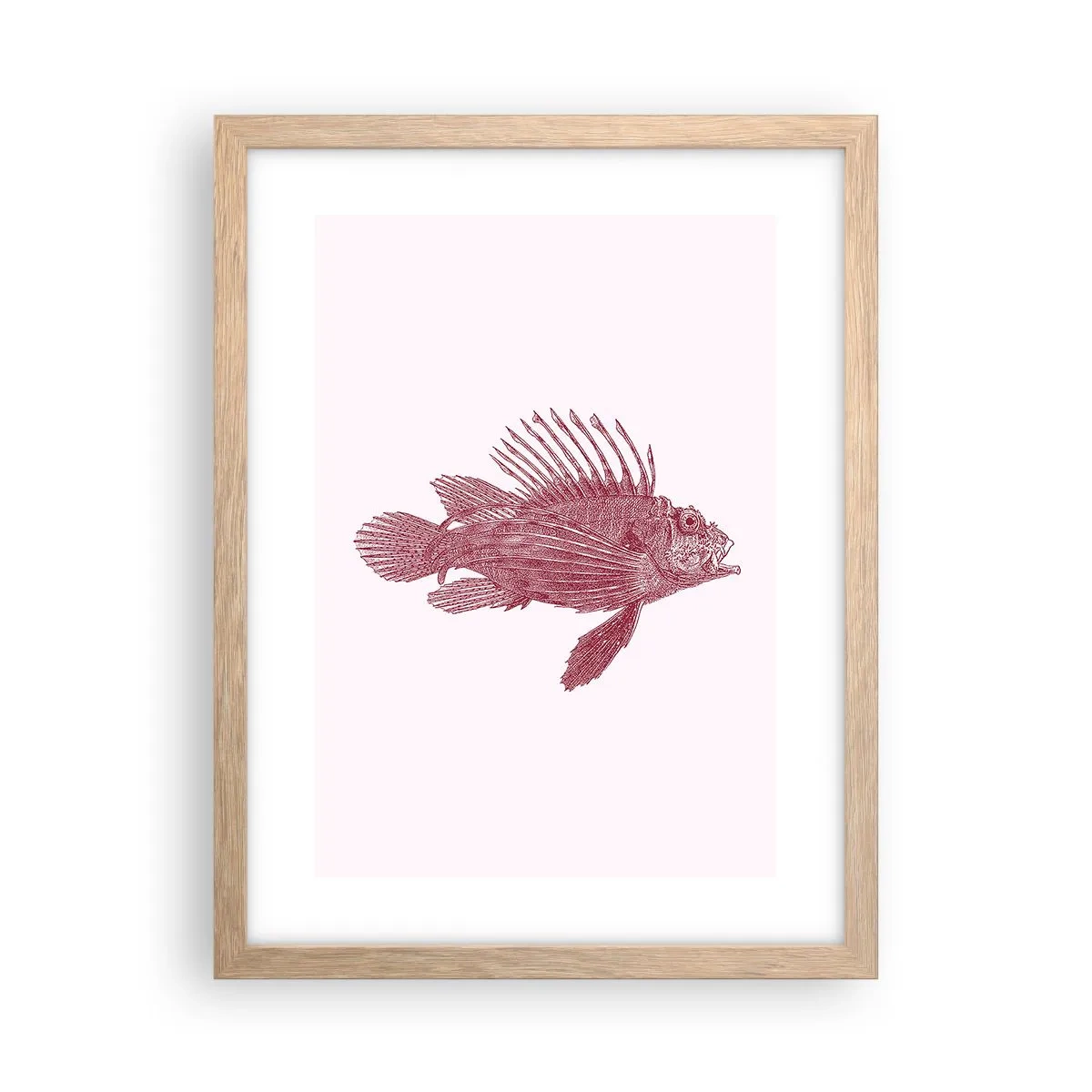 Plakat i ramme af lyst egetræ - En beboer i eksotiske farvande - 30x40 cm