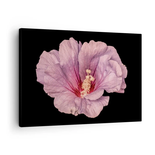 Lærredstryk - Billede på lærred - Lyserød blomst på en sort baggrund - 70x50cm - Lige i hjertet - Moderne vægdekoration til stue og soveværelse ARTTOR
