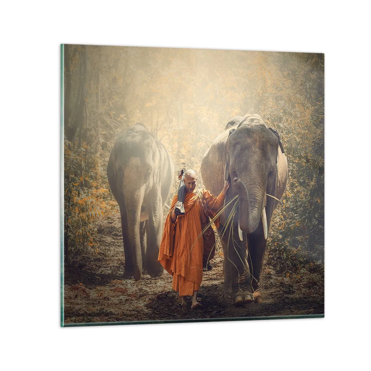 Billede på glas - Fuld forståelse - 70x70 cm