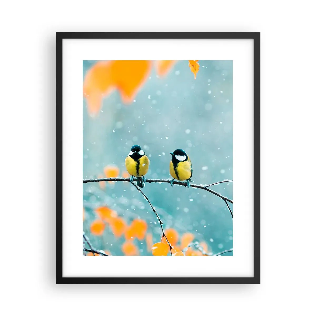 Plakat i sort ramme - Sladder om fugle - 40x50 cm