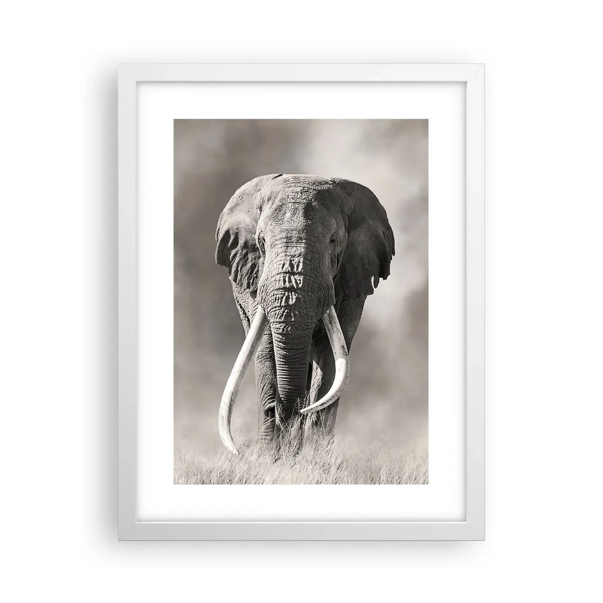 Plakat i hvid ramme - Afrikansk patriark - 30x40 cm