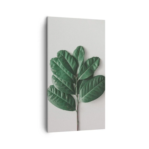 Lærredstryk - Billede på lærred - Tegning af selve naturen - 45x80 cm