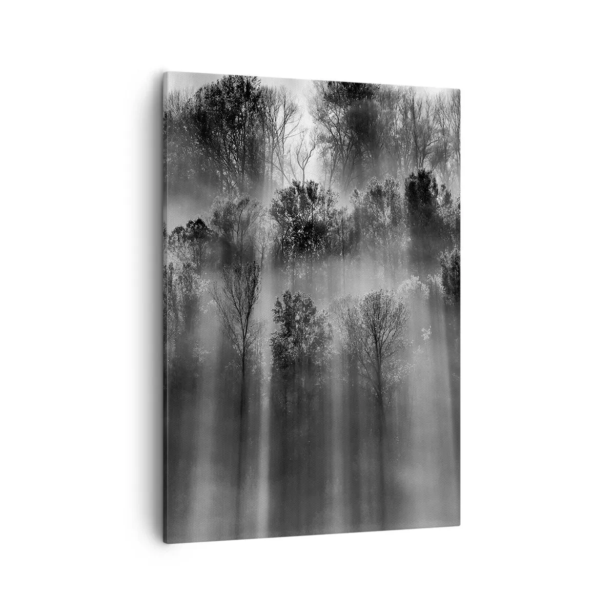 Lærredstryk - Billede på lærred - I stråler af lys - 50x70 cm