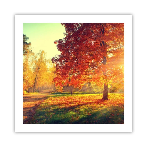 Plakat - Rød er smuk - 50x50 cm