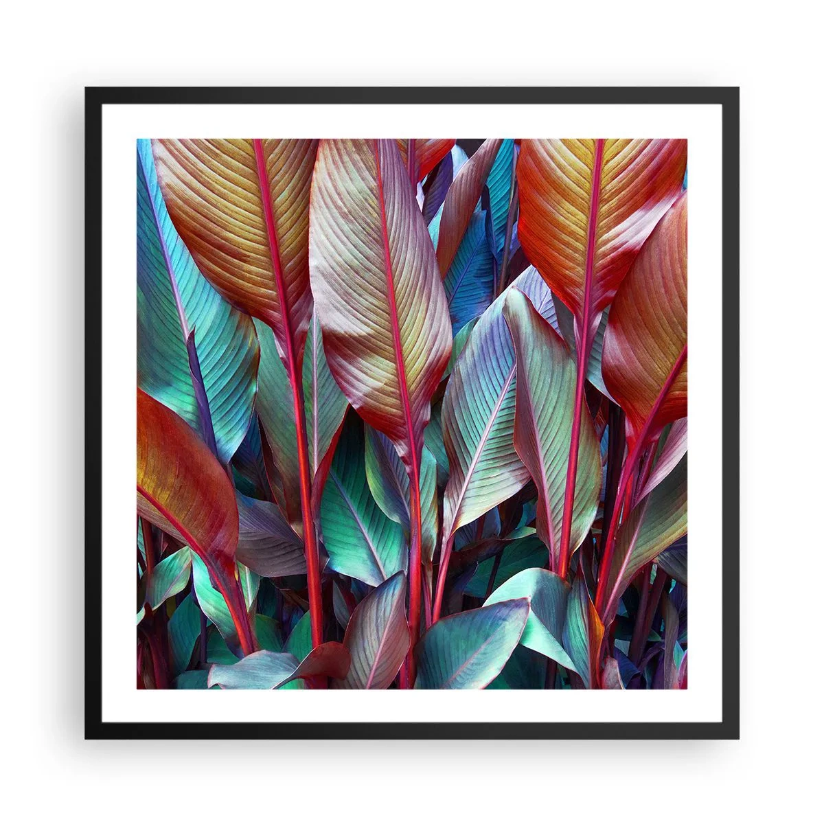 Plakat i sort ramme - Farverigt krat - 60x60 cm
