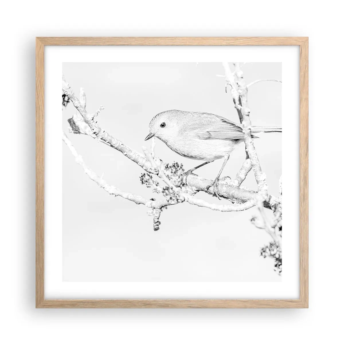 Plakat i ramme af lyst egetræ - Vintermorgen - 50x50 cm
