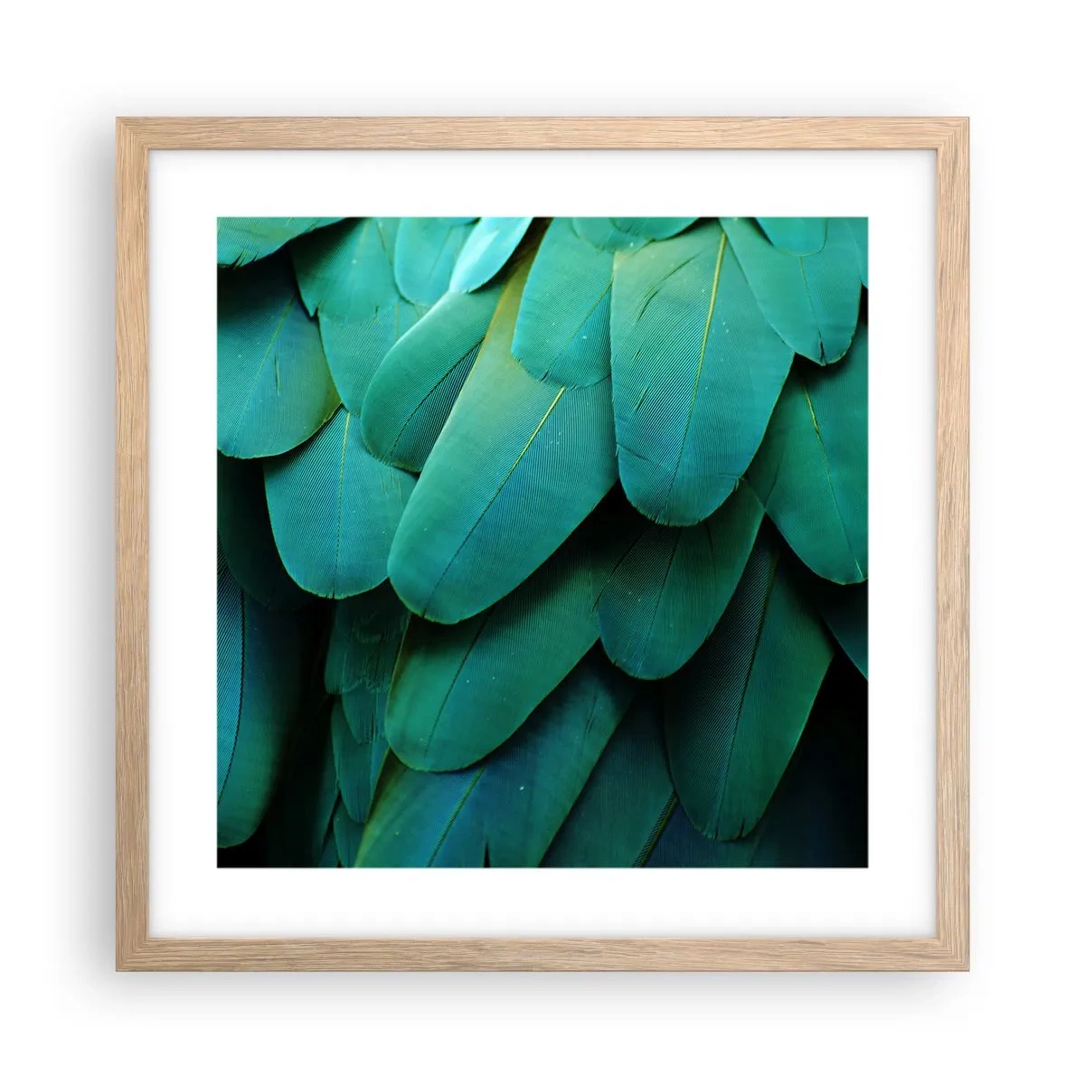 Plakat i ramme af lyst egetræ - Papegøjenaturens præcision - 40x40 cm
