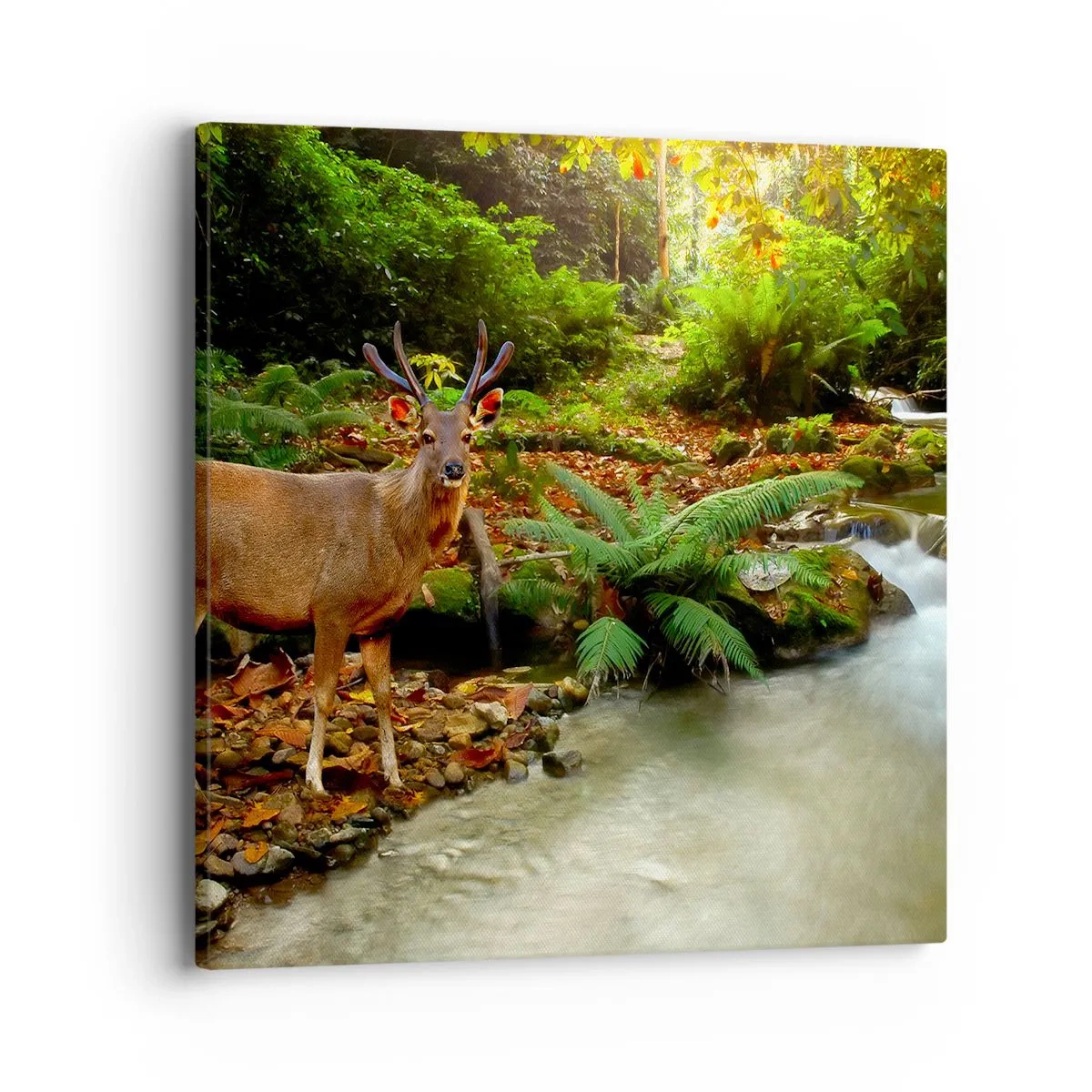 Lærredstryk - Billede på lærred - Velkommen til min verden - 40x40 cm