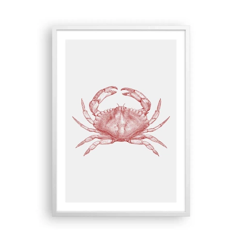 Plakat i hvid ramme - Krabbe over krabber - 50x70 cm