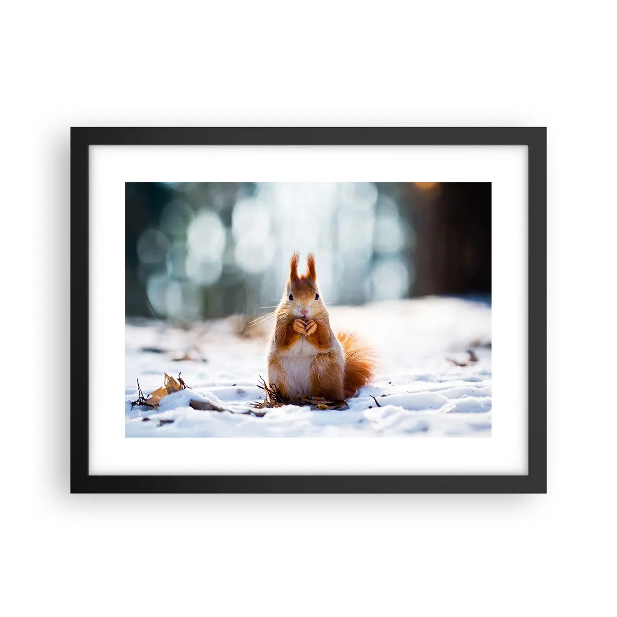 Plakat i sort ramme - Og hvad kigger du på? - 40x30 cm