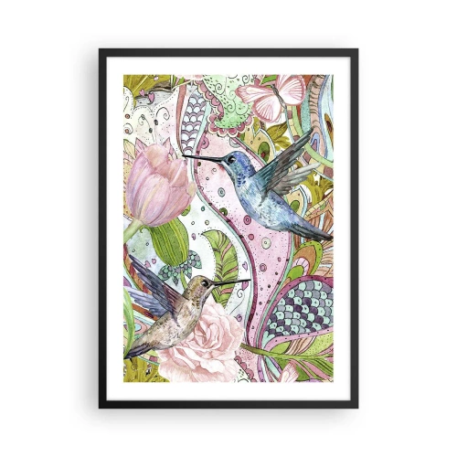 Plakat i sort ramme - Farverige kolibrier mod en baggrund af blomster og mønstre - 50x70cm - Forviklet i vinstokkene - Moderne vægdekoration til stue og soveværelse ARTTOR