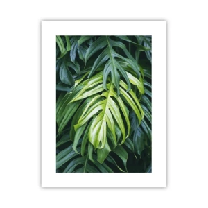 Plakat - Fordyb dig i friskhed - 30x40 cm