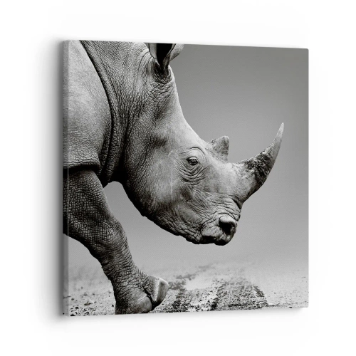 Lærredstryk - Billede på lærred - En ustoppeli - 30x30 cm