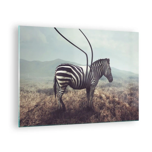 Billede på glas - Zebra på græsbaggrund med surrealistiske antennedetaljer - 70x50cm - OBS! Fejl - Moderne vægdekoration til stue og soveværelse ARTTOR