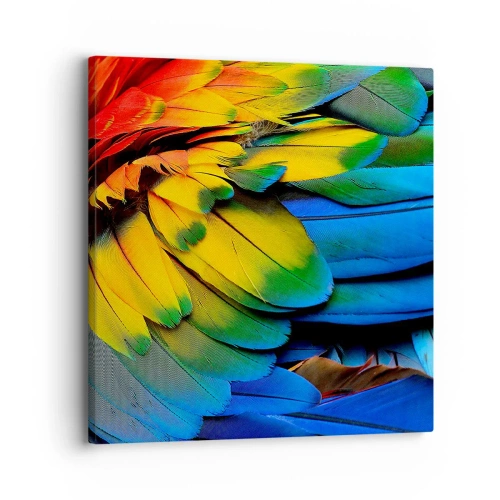 Lærredstryk - Billede på lærred - Paradisfugl - 30x30 cm