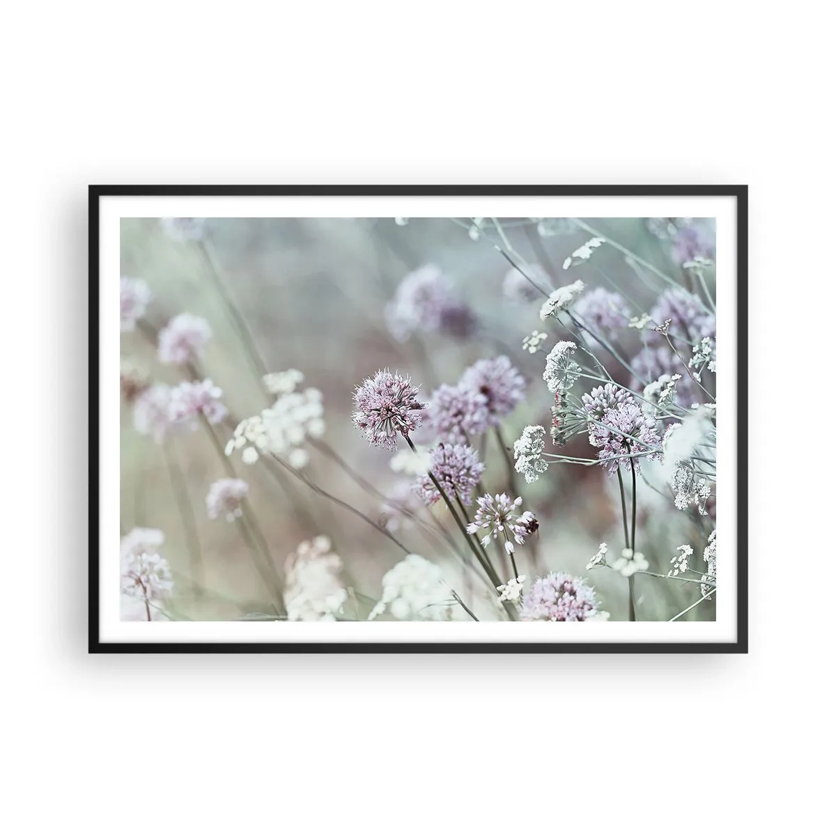 Plakat i sort ramme - Søde filigranurter - 100x70 cm