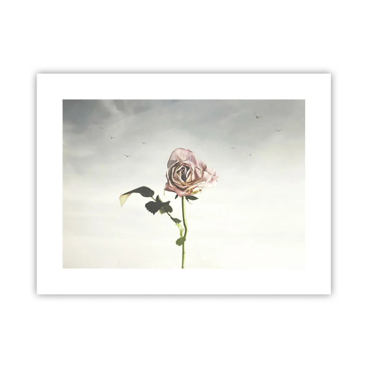 Plakat - Velkomst til foråret - 40x30 cm