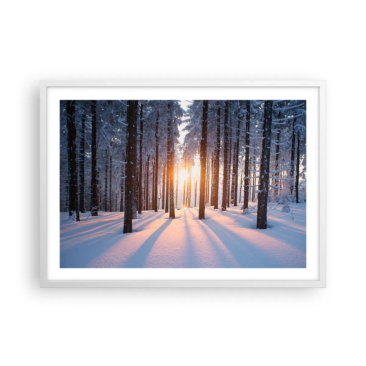 Plakat i hvid ramme - Klart i sort og hvidt - 70x50 cm