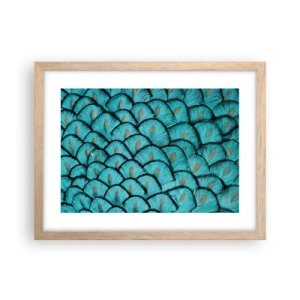 Plakat i ramme af lyst egetræ - Den store fjer-galla - 40x30 cm