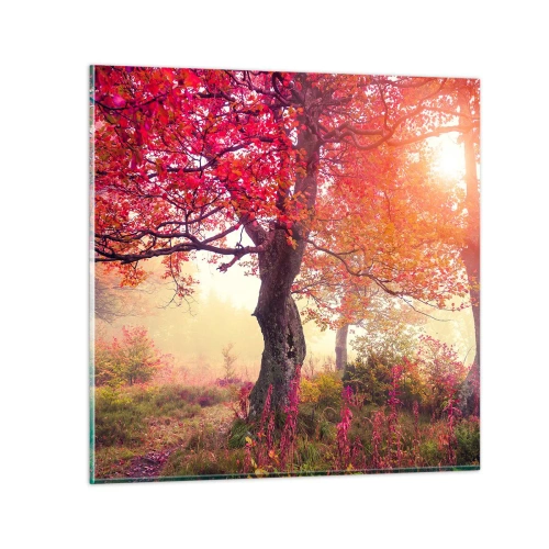 Billede på glas - Et væld af blomstring - 70x70 cm