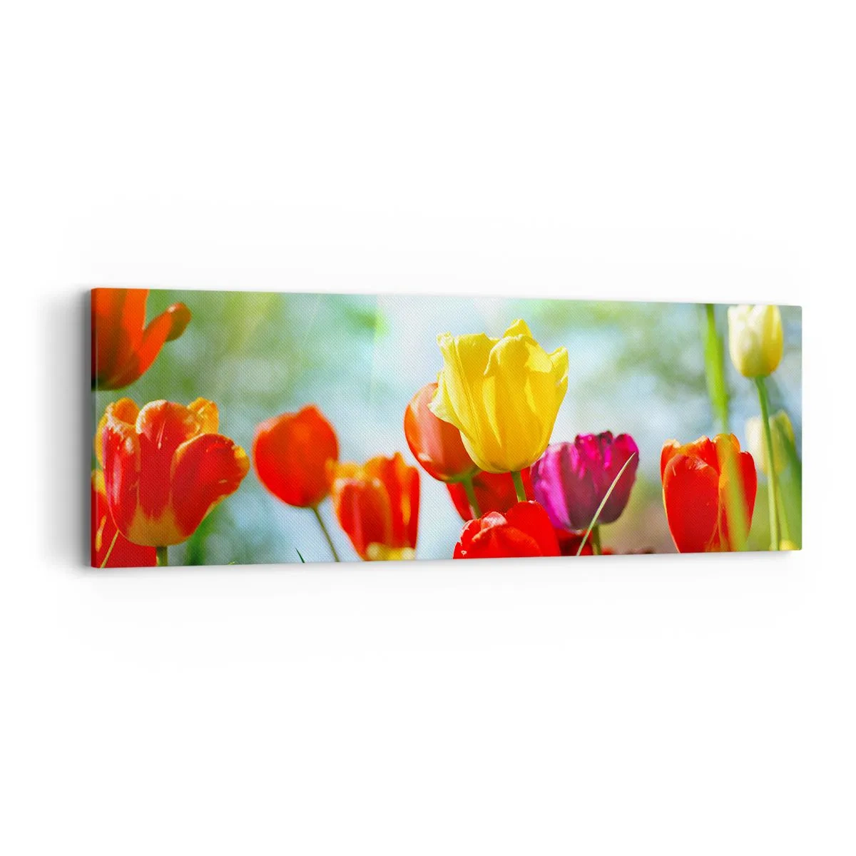 Lærredstryk - Billede på lærred - Alle solens farver - 90x30 cm