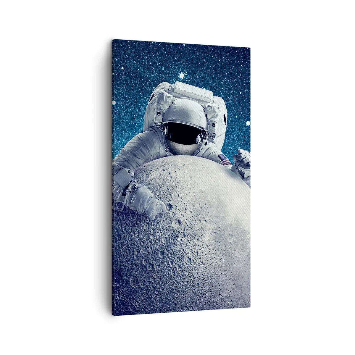 Lærredstryk - Billede på lærred - Kosmisk spøgefugl - 45x80 cm