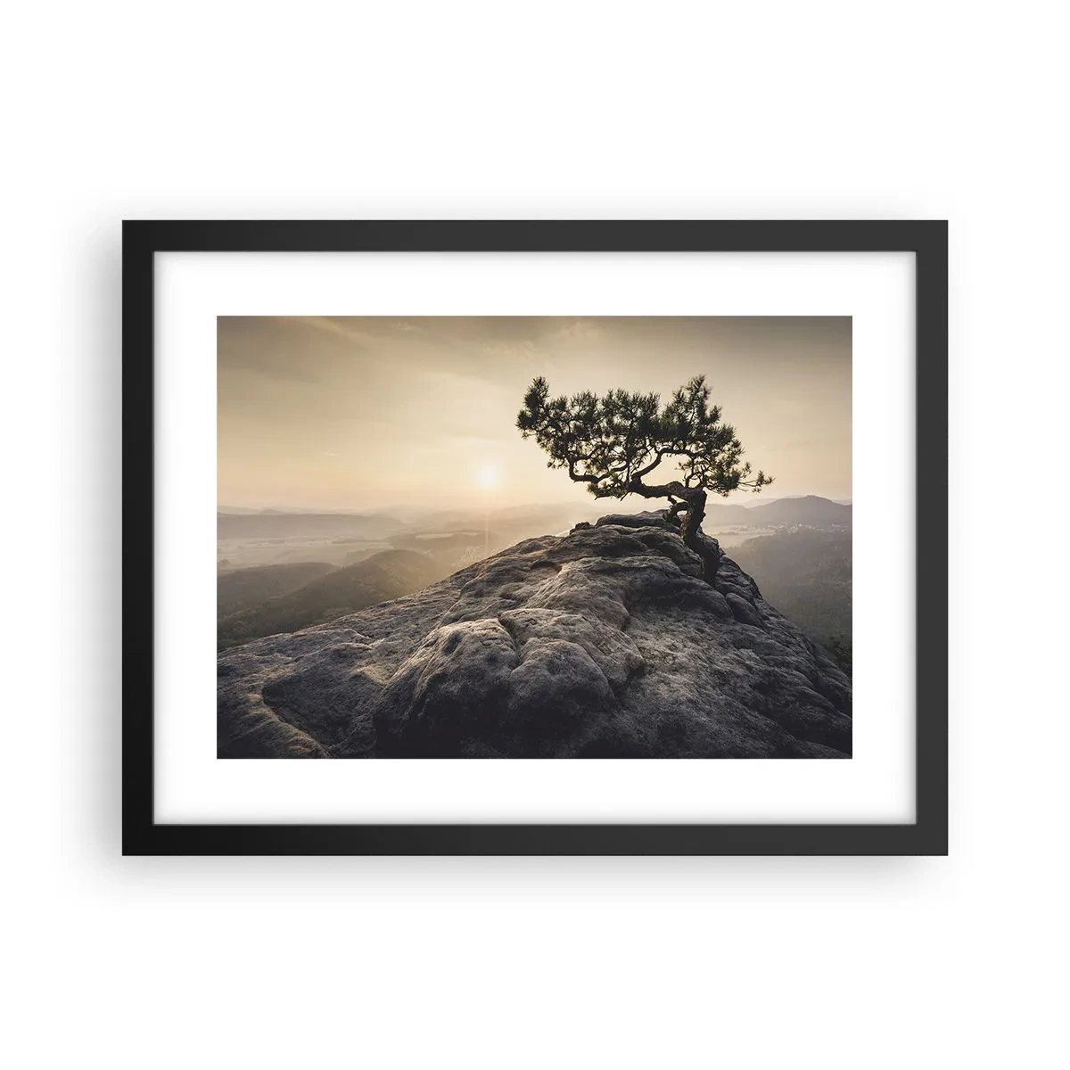 Plakat i sort ramme - Livet vinder altid - 40x30 cm