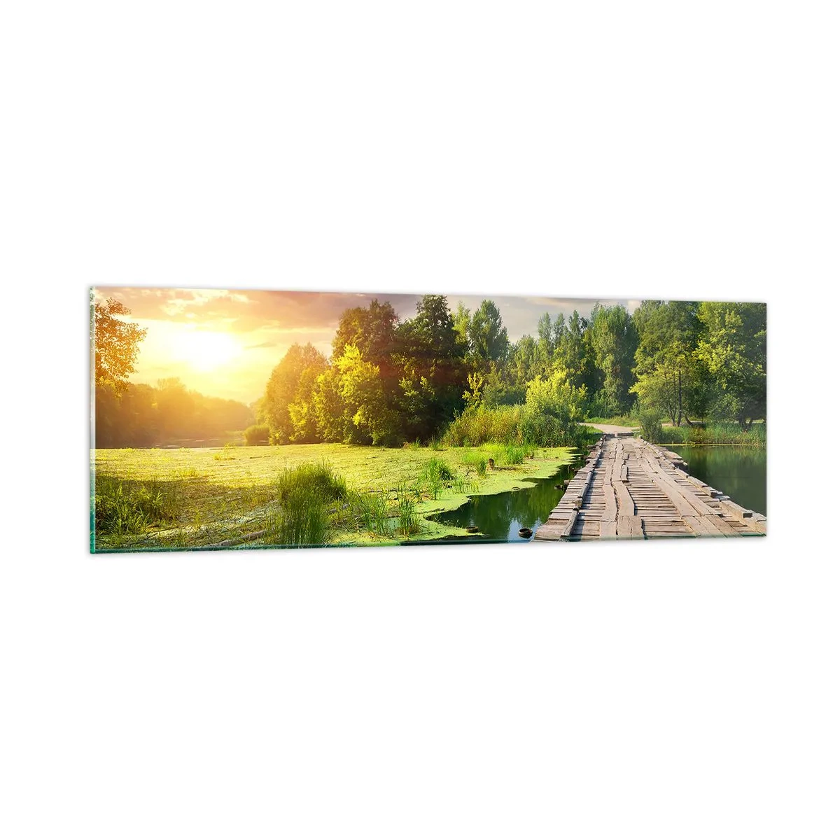 Billede på glas - Sommer, sommer overalt - 90x30 cm