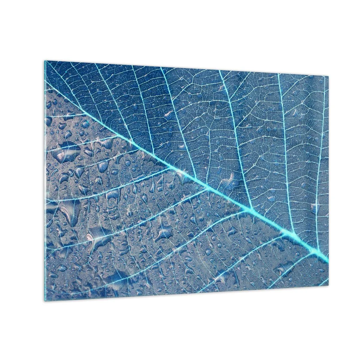 Billede på glas - Makrofotografi af et blad med vanddråber i blå nuancer - 70x50cm - Livet i det blå - Moderne vægdekoration til stue og soveværelse ARTTOR