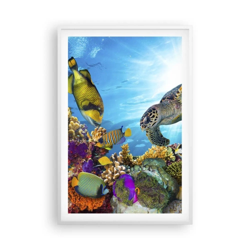 Plakat i hvid ramme - Koralpromenade - 61x91 cm