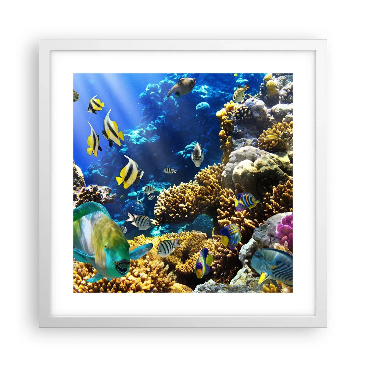 Plakat i hvid ramme - Tung trafik på feriestien - 40x40 cm