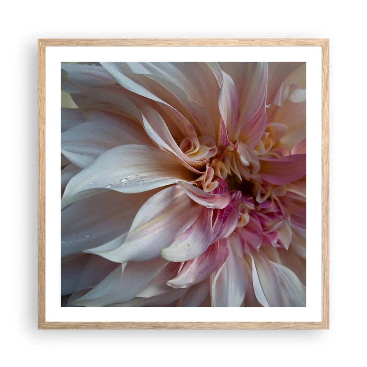 Plakat i ramme af lyst egetræ - Blomstrende friskhed - 60x60 cm