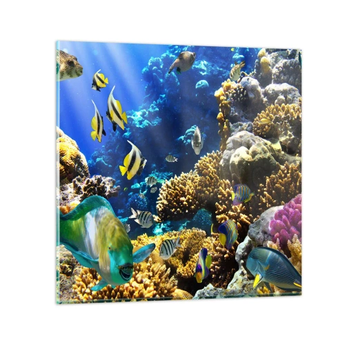 Billede på glas - Tung trafik på feriestien - 50x50 cm