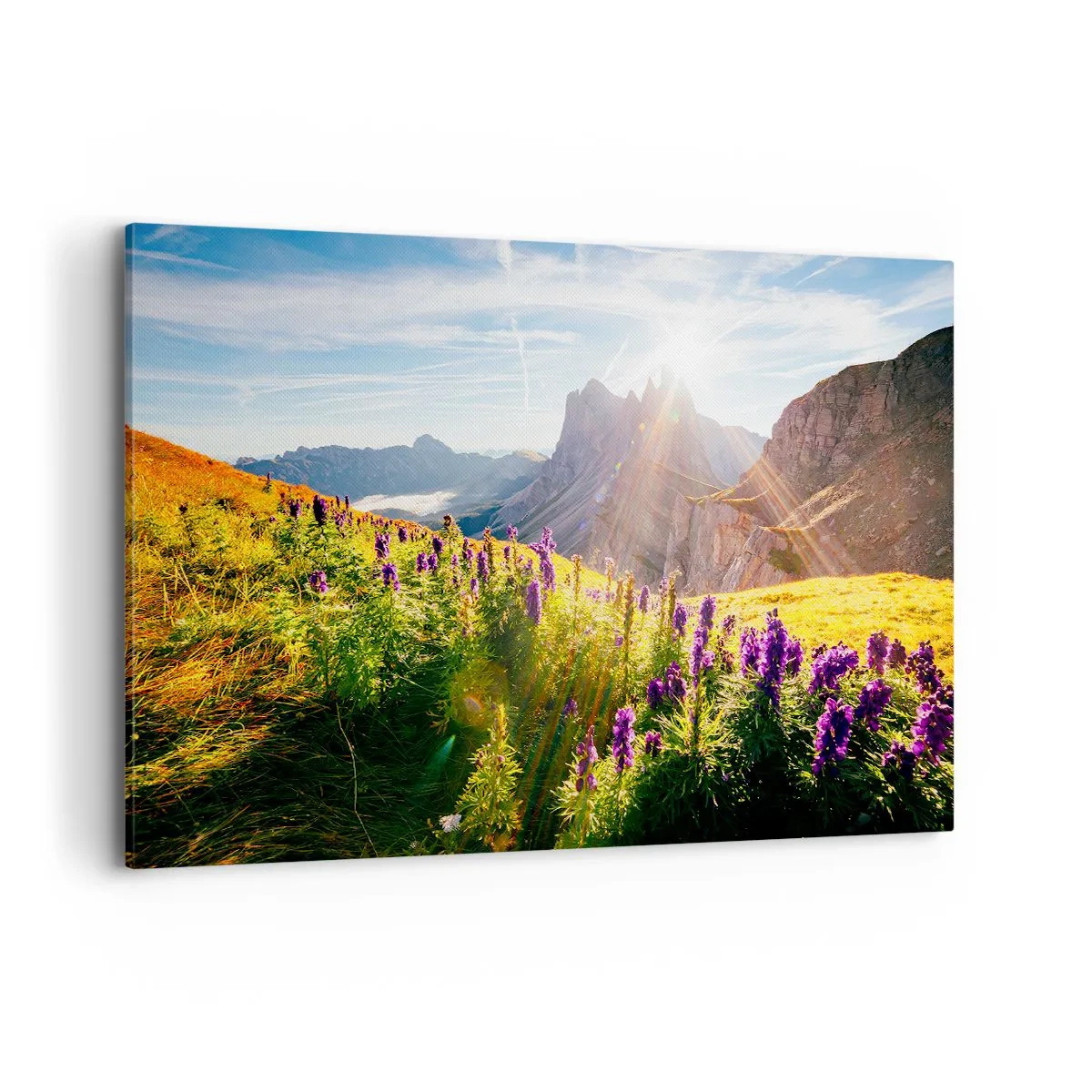 Lærredstryk - Billede på lærred - Urternes hemmelige liv - 120x80 cm