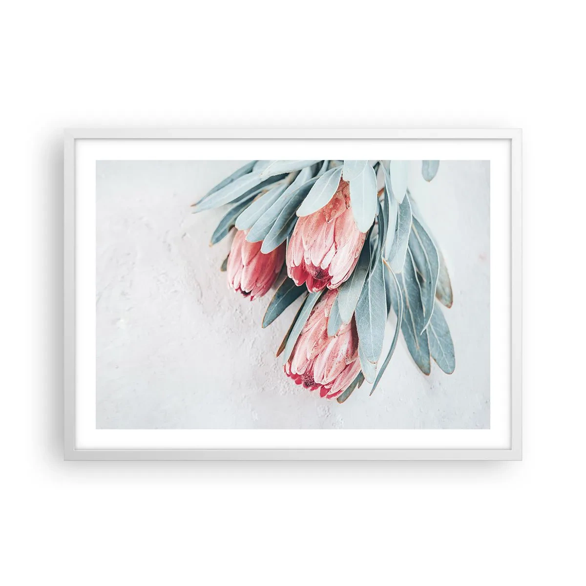 Plakat i hvid ramme - Skammer sig over deres egen skønhed - 70x50 cm