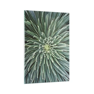 Billede på glas - En stjernes fødsel - 70x100 cm