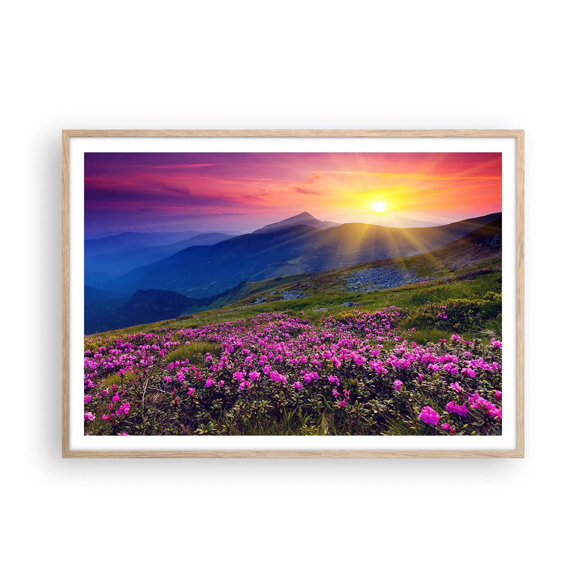 Plakat i ramme af lyst egetræ - ... Og rundt omkring dufter det af fyrretræer og krydderurter - 100x70 cm