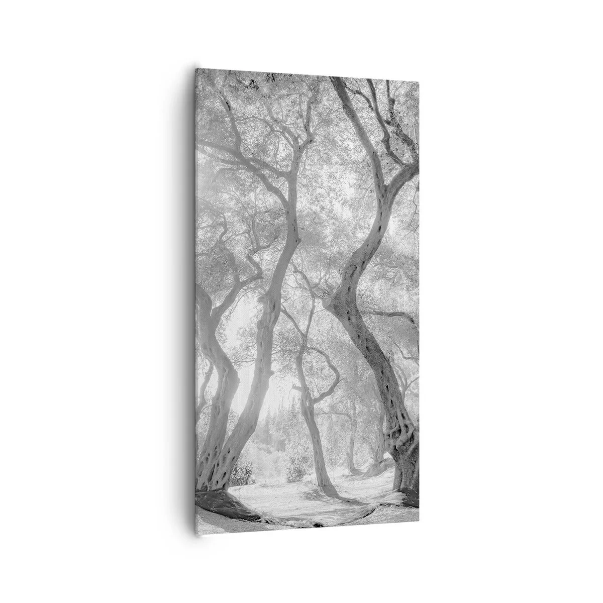Lærredstryk - Billede på lærred - I en olivenlund - 65x120 cm