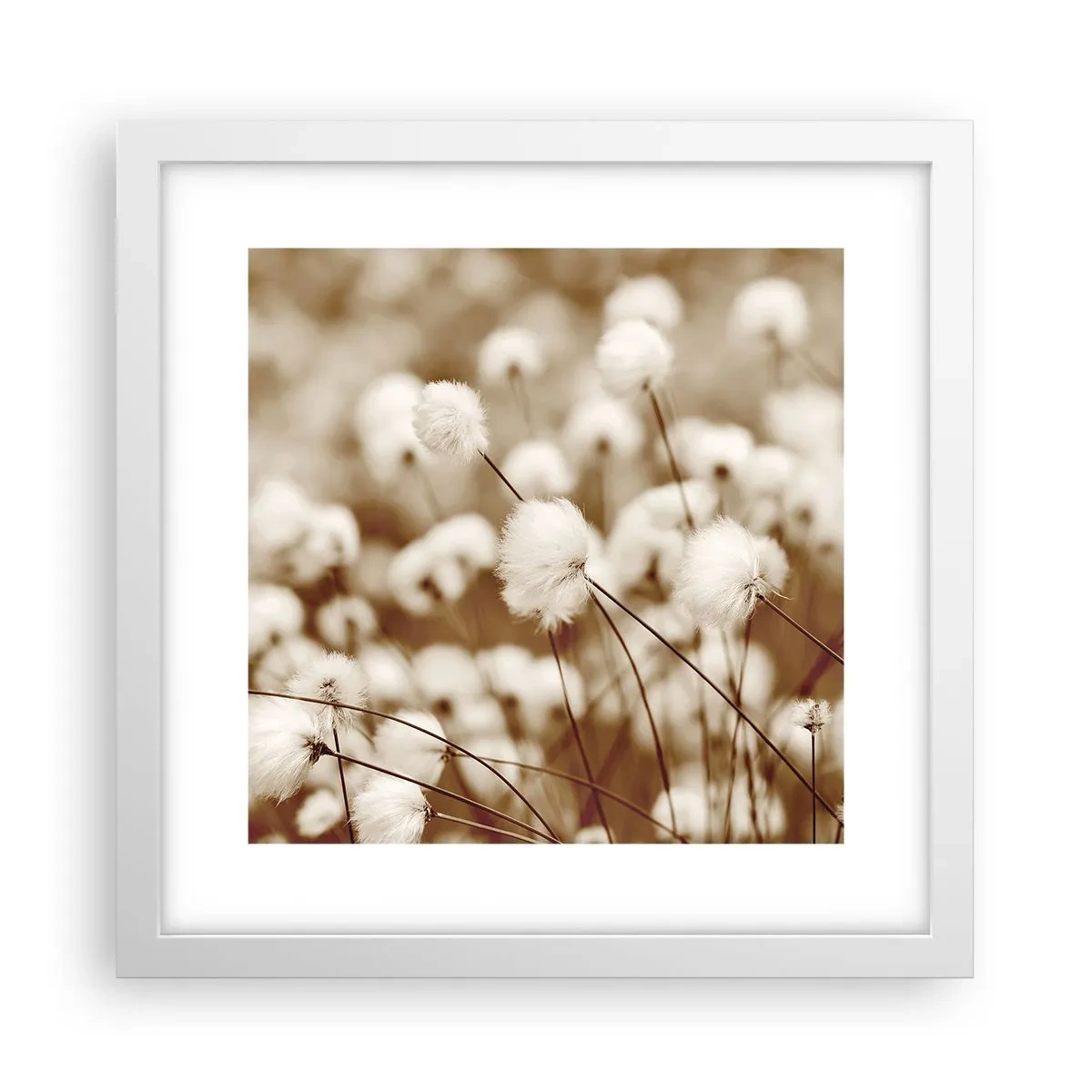 Plakat i hvid ramme - Fyldig mark - 30x30 cm