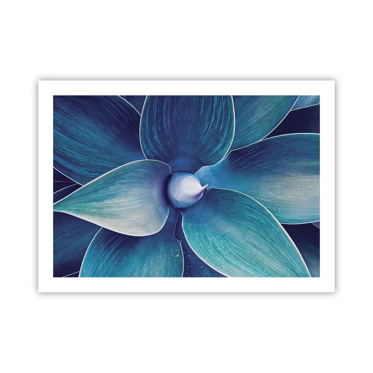 Plakat - Blå fra himlen - 70x50 cm